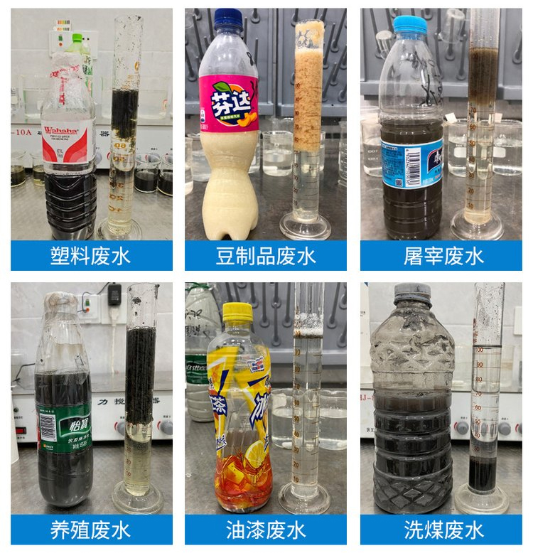 使用效果展示