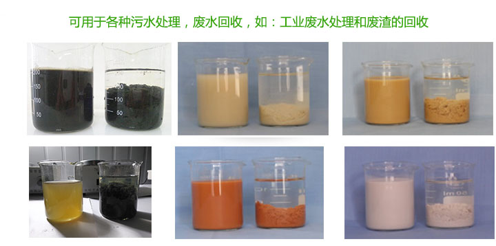 使用效果展示